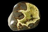 Polished, Crystal Filled Septarian Nodule - Utah #149964-3